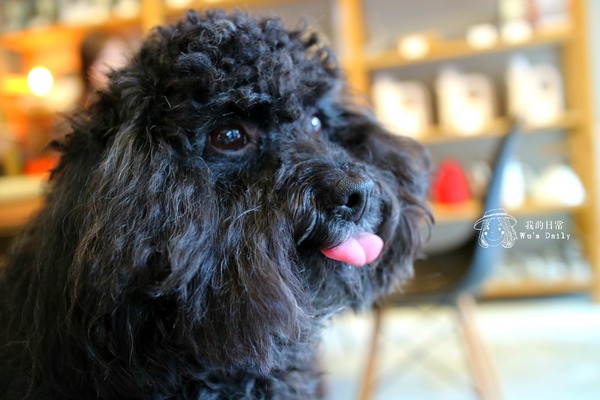 cm20170413___67e87125a45f09e8e0056a9c046