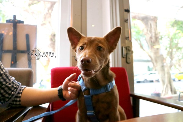 cm20170413___8ec48e3b55b5637c75011c8019d