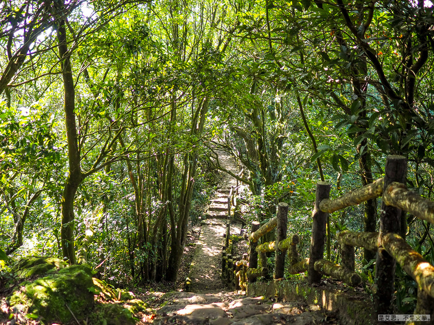 erge-7.jpg erge-7.jpg