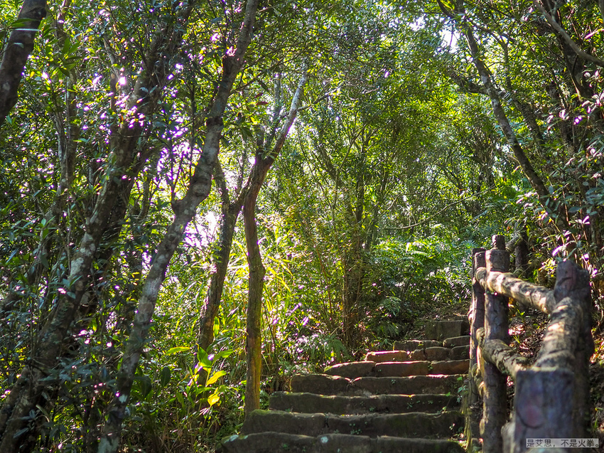 erge-8.jpg erge-8.jpg