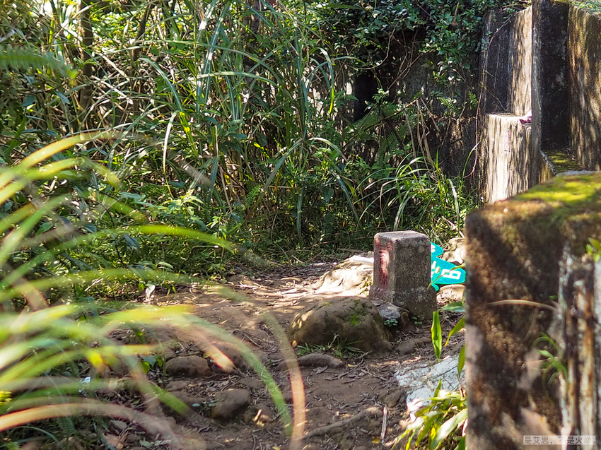 erge-9.jpg erge-9.jpg