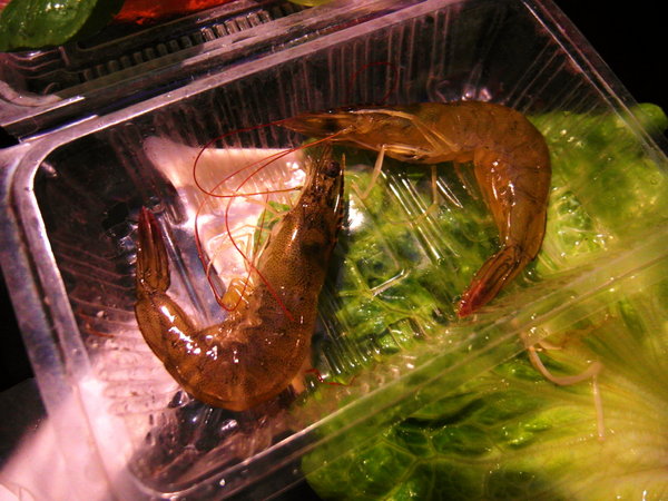 武藏亭日本料理：台中日式料理 ❤ 武藏亭日本料理