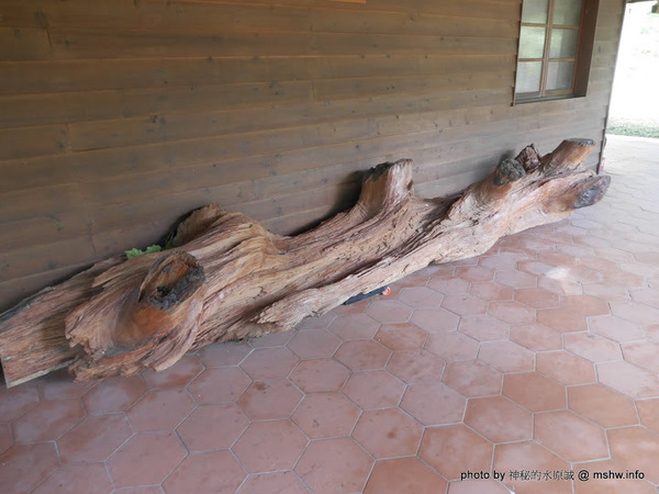 禪與松休閒養生會館:【景點】南投禪與松休閒養身會館@水里 : 最後的秘境?! 私人招待所變身檜木屋度假山莊 禪與松休閒養生會館:【景點】南投禪與松休閒養身會館@水里 : 最後的秘境?! 私人招待所變身檜木屋度假山莊