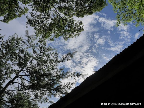 禪與松休閒養生會館:【景點】南投禪與松休閒養身會館@水里 : 最後的秘境?! 私人招待所變身檜木屋度假山莊 禪與松休閒養生會館:【景點】南投禪與松休閒養身會館@水里 : 最後的秘境?! 私人招待所變身檜木屋度假山莊