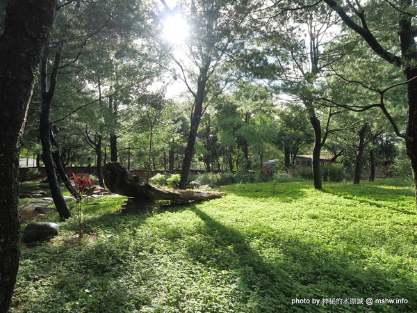 禪與松休閒養生會館:【景點】南投禪與松休閒養身會館@水里 : 最後的秘境?! 私人招待所變身檜木屋度假山莊 禪與松休閒養生會館:【景點】南投禪與松休閒養身會館@水里 : 最後的秘境?! 私人招待所變身檜木屋度假山莊