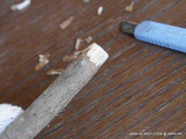 禪與松休閒養生會館:【景點】南投禪與松休閒養身會館@水里 : 最後的秘境?! 私人招待所變身檜木屋度假山莊 禪與松休閒養生會館:【景點】南投禪與松休閒養身會館@水里 : 最後的秘境?! 私人招待所變身檜木屋度假山莊