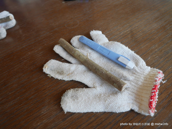 禪與松休閒養生會館:【景點】南投禪與松休閒養身會館@水里 : 最後的秘境?! 私人招待所變身檜木屋度假山莊 禪與松休閒養生會館:【景點】南投禪與松休閒養身會館@水里 : 最後的秘境?! 私人招待所變身檜木屋度假山莊