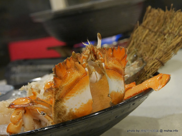 禪與松休閒養生會館:【景點】南投禪與松休閒養身會館@水里 : 最後的秘境?! 私人招待所變身檜木屋度假山莊 禪與松休閒養生會館:【景點】南投禪與松休閒養身會館@水里 : 最後的秘境?! 私人招待所變身檜木屋度假山莊