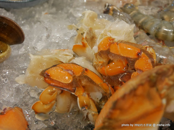 禪與松休閒養生會館:【景點】南投禪與松休閒養身會館@水里 : 最後的秘境?! 私人招待所變身檜木屋度假山莊 禪與松休閒養生會館:【景點】南投禪與松休閒養身會館@水里 : 最後的秘境?! 私人招待所變身檜木屋度假山莊