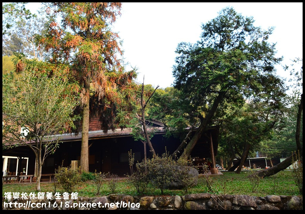 禪與松休閒養生會館DSC_1189 禪與松休閒養生會館DSC_1189