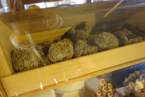 清水堂愛玉專賣店:台南中西區 清水堂愛玉冰 特色金牌料理愛玉冰 紅豆湯冰芋頭又迷又香又好吃 清水堂愛玉專賣店:台南中西區 清水堂愛玉冰 特色金牌料理愛玉冰 紅豆湯冰芋頭又迷又香又好吃