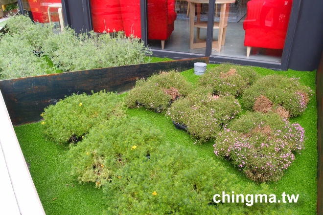 P2017436.JPG P2017436.JPG