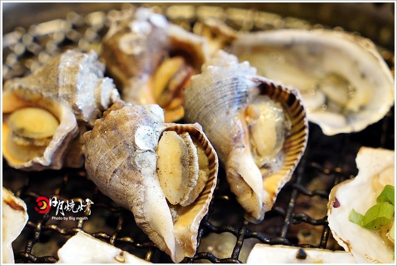 【台中吃到飽】日月燒烤.599元起肉品、海鮮、炸物吃到飽,還有飲料、冰淇淋、甜點自助吧!399元西班牙伊比利豬套餐份量十足,海陸饗宴一次滿足!