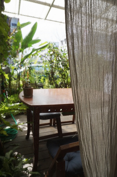 曙光森林：[台東市區]曙光森林：窯烤麵包早午餐