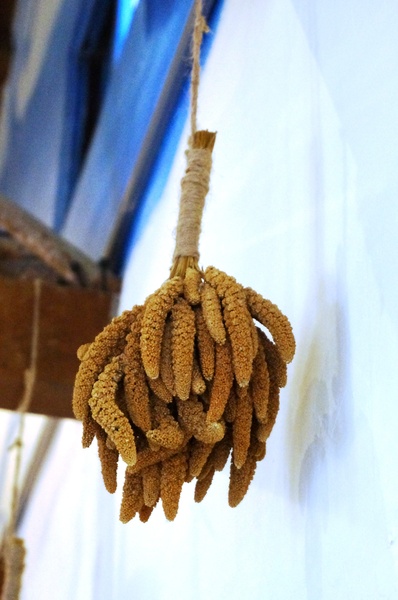 曙光森林：[台東市區]曙光森林：窯烤麵包早午餐