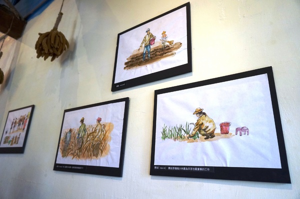 曙光森林：[台東市區]曙光森林：窯烤麵包早午餐