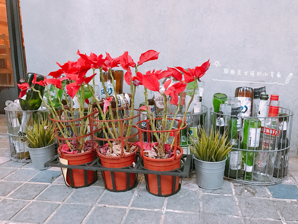 32235166983_fe756ecda0_o