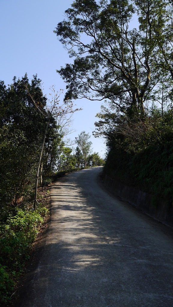石碇鱷魚島:【新北◍•ᴗ•◍石碇】石碇鱷魚潭、潭腰景色攻略✯私房景點・絕美秘境石碇鱷魚島|前往秘境路線走法大公開 石碇鱷魚島:【新北◍•ᴗ•◍石碇】石碇鱷魚潭、潭腰景色攻略✯私房景點・絕美秘境石碇鱷魚島|前往秘境路線走法大公開