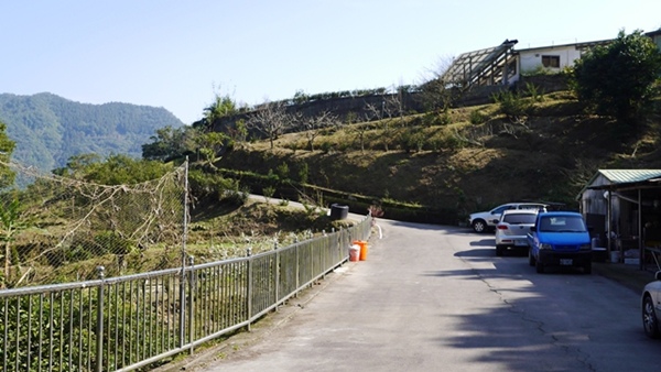 石碇鱷魚島:【新北◍•ᴗ•◍石碇】石碇鱷魚潭、潭腰景色攻略✯私房景點・絕美秘境石碇鱷魚島|前往秘境路線走法大公開 石碇鱷魚島:【新北◍•ᴗ•◍石碇】石碇鱷魚潭、潭腰景色攻略✯私房景點・絕美秘境石碇鱷魚島|前往秘境路線走法大公開