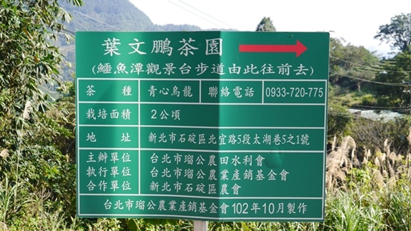 石碇鱷魚島:【新北◍•ᴗ•◍石碇】石碇鱷魚潭、潭腰景色攻略✯私房景點・絕美秘境石碇鱷魚島|前往秘境路線走法大公開 石碇鱷魚島:【新北◍•ᴗ•◍石碇】石碇鱷魚潭、潭腰景色攻略✯私房景點・絕美秘境石碇鱷魚島|前往秘境路線走法大公開