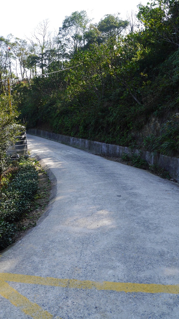 石碇鱷魚島:【新北◍•ᴗ•◍石碇】石碇鱷魚潭、潭腰景色攻略✯私房景點・絕美秘境石碇鱷魚島|前往秘境路線走法大公開 石碇鱷魚島:【新北◍•ᴗ•◍石碇】石碇鱷魚潭、潭腰景色攻略✯私房景點・絕美秘境石碇鱷魚島|前往秘境路線走法大公開