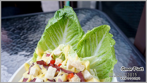 阿諾碟子13.jpg 阿諾碟子13.jpg