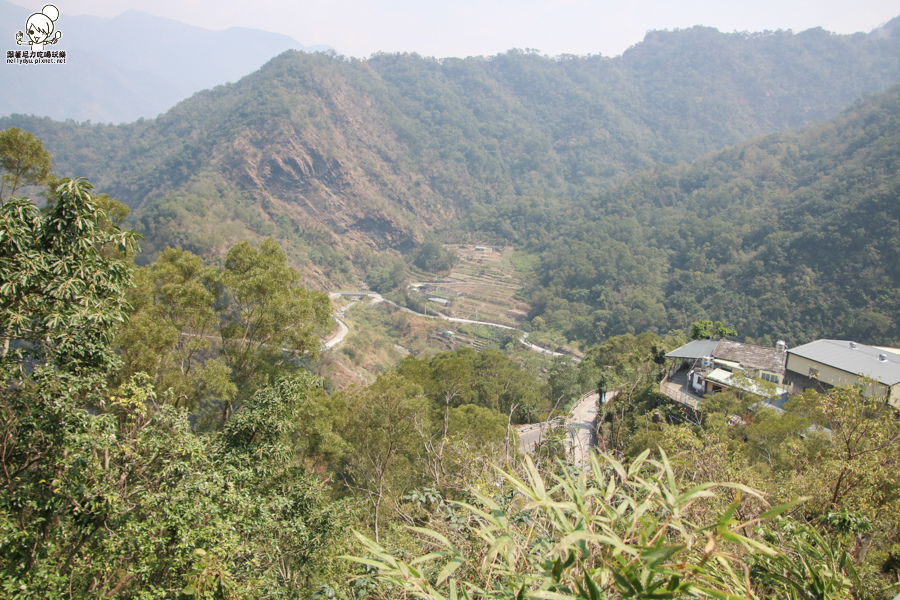 霧台 (15 - 20).jpg