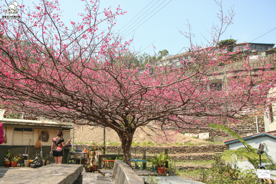 霧台 (20 - 20).jpg