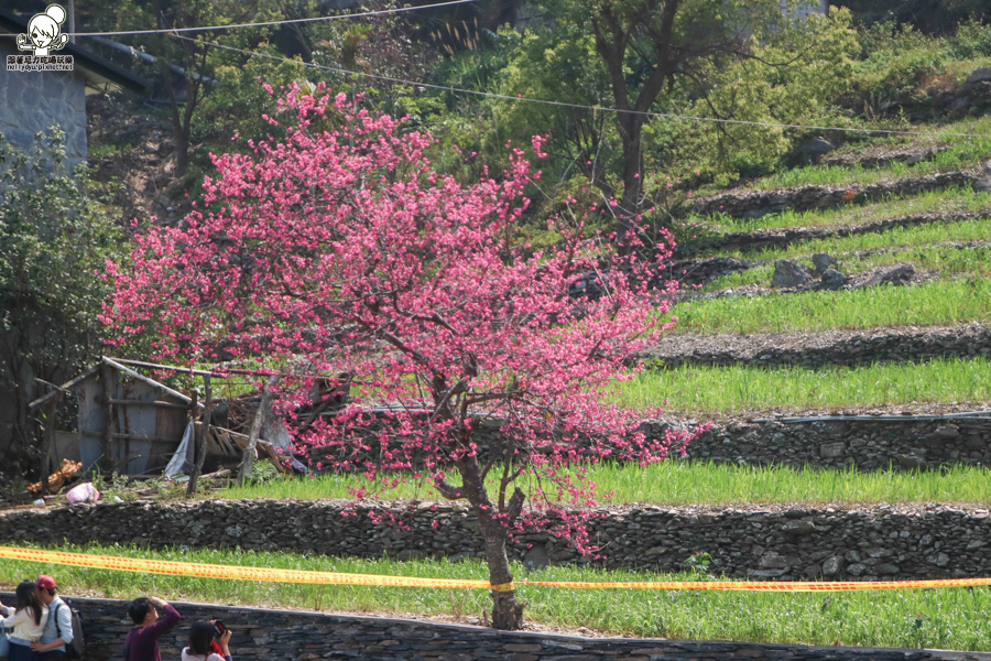 霧台 (19 - 20).jpg