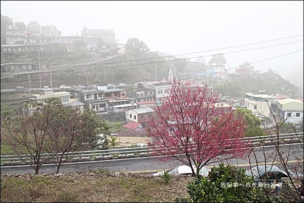 霧台賞櫻42.jpg