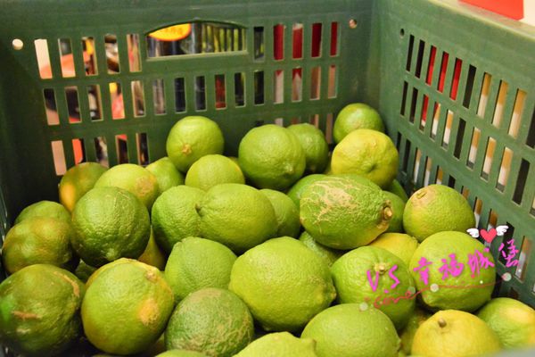 DSC_2648~1.jpg DSC_2648~1.jpg