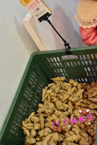 DSC_2643~1.jpg DSC_2643~1.jpg