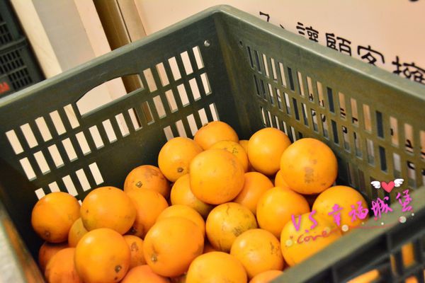 DSC_2651~1.jpg DSC_2651~1.jpg