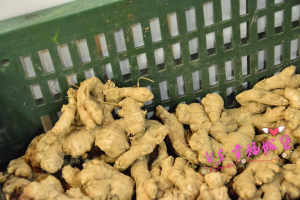 DSC_2645~1.jpg DSC_2645~1.jpg