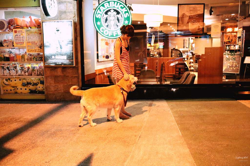 狗狗的居家日常