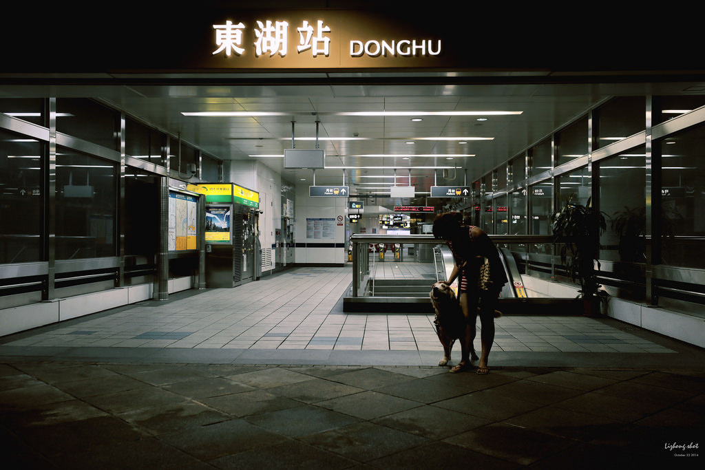 狗狗的居家日常