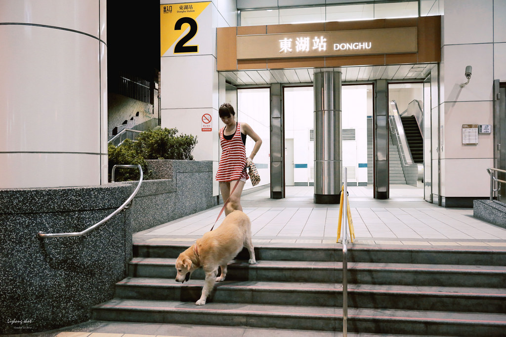 狗狗的居家日常