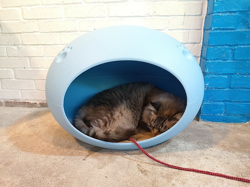 2020-12-27-15-18-42-421