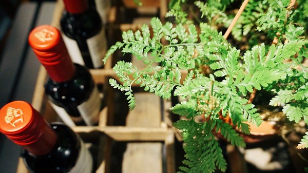 Pushpin 圖釘餐酒：Pushpin 圖釘餐酒｜高雄捷運鹽埕埔站1號出口｜營業直至初九之小酒館 ｜高雄駁二過年小酌好去處