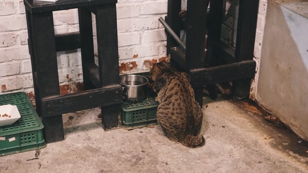 Pushpin 圖釘餐酒：Pushpin 圖釘餐酒｜高雄捷運鹽埕埔站1號出口｜營業直至初九之小酒館 ｜高雄駁二過年小酌好去處