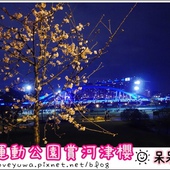 陽光運動園區賞河津櫻 陽光運動園區賞河津櫻