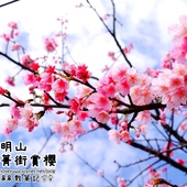 陽明山平菁街42巷 陽明山平菁街42巷