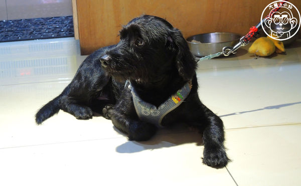 朝日吐司部：呷飽祙【宜蘭羅東･朝日吐司部】超夯的碳烤吐司來這吃