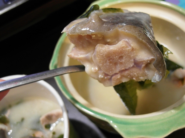 小椿食堂:【台南||中西區】小椿食堂──平價美味、份量實在的日式家庭料理! 小椿食堂:【台南||中西區】小椿食堂──平價美味、份量實在的日式家庭料理!