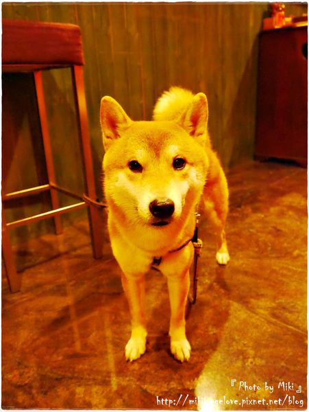 P1280455.JPG P1280455.JPG