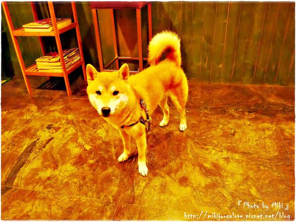 P1280433.JPG P1280433.JPG