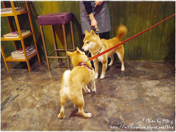 P1280464.JPG P1280464.JPG