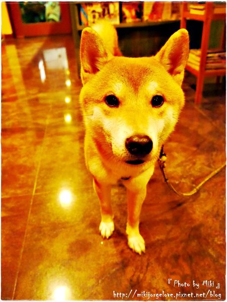 P1280450.JPG P1280450.JPG