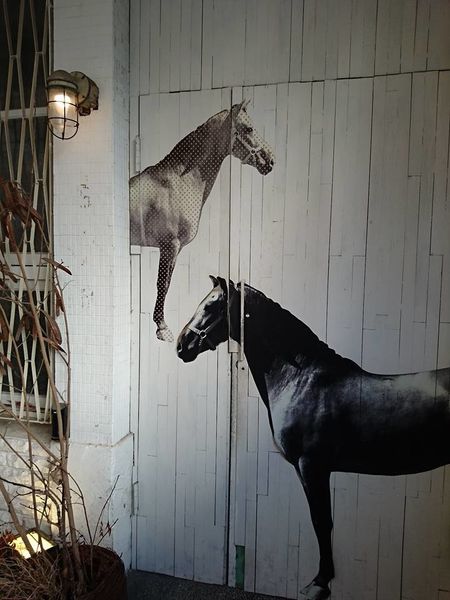 18581788_1513285338703150_7148919957700944863_n