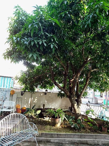 26168749_1742294172468931_6419466494426494801_n